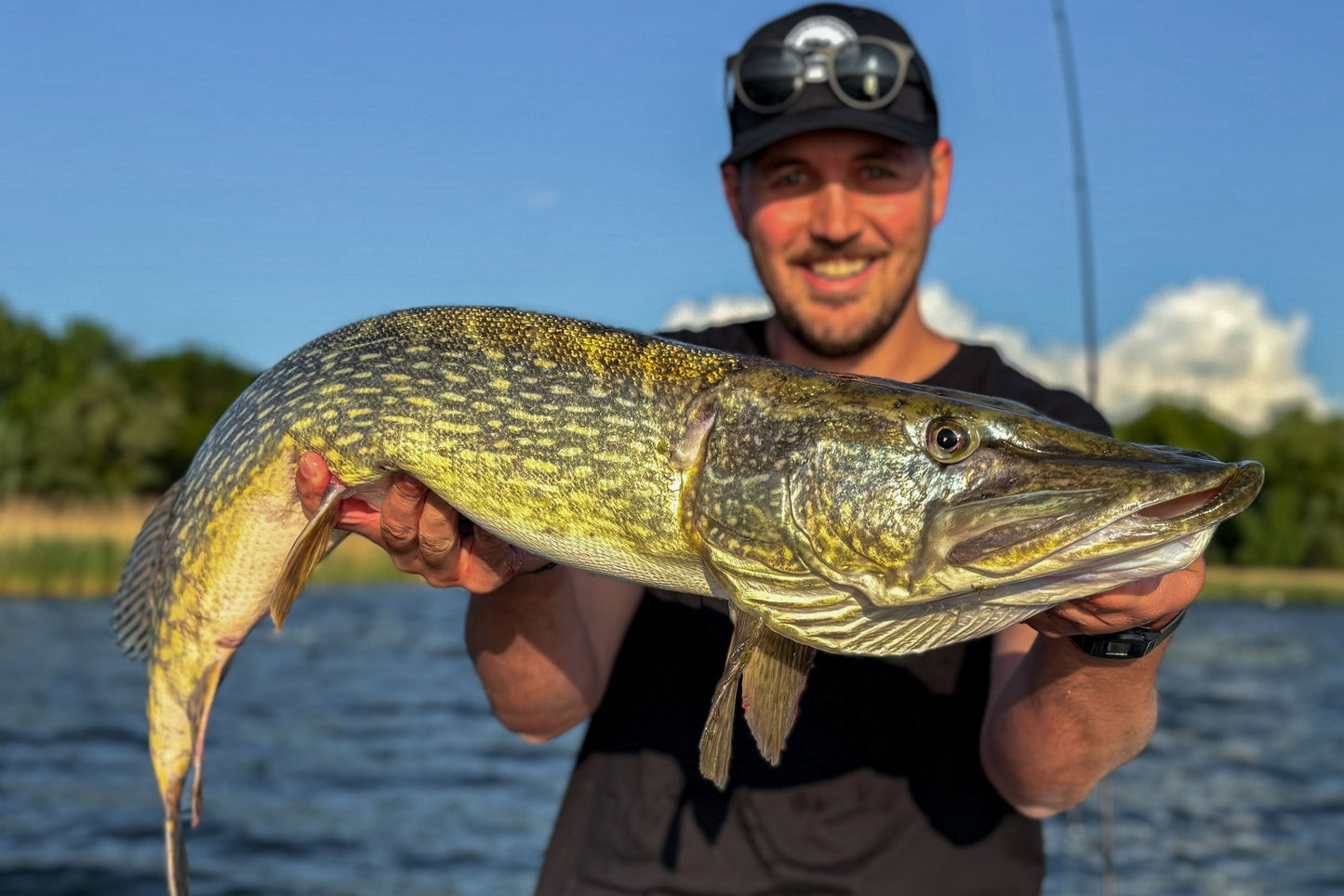 Greenfin Lake Bundle