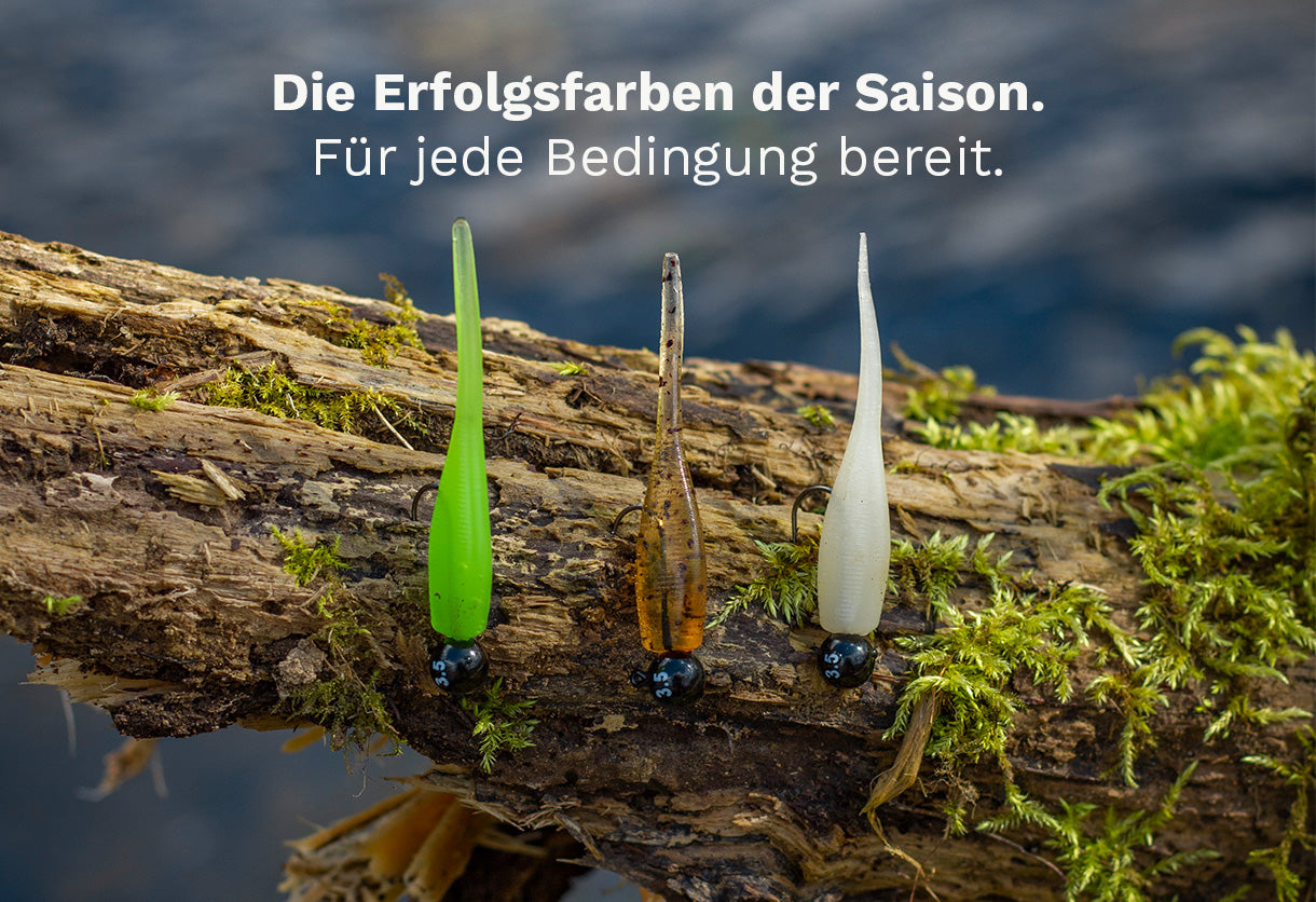 Greenfin Starter Kit Forelle