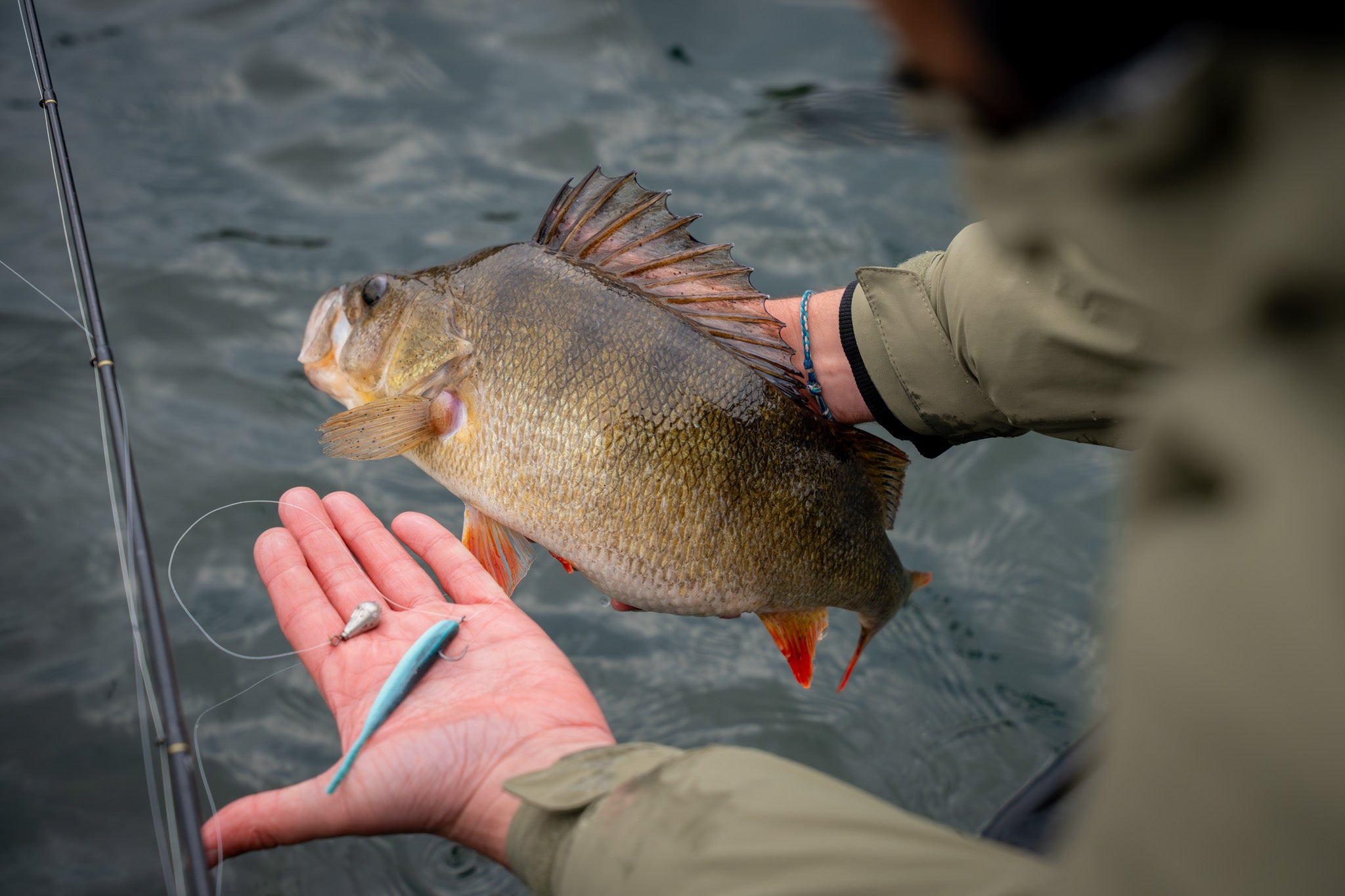 Greenfin Leadfree Dropshot