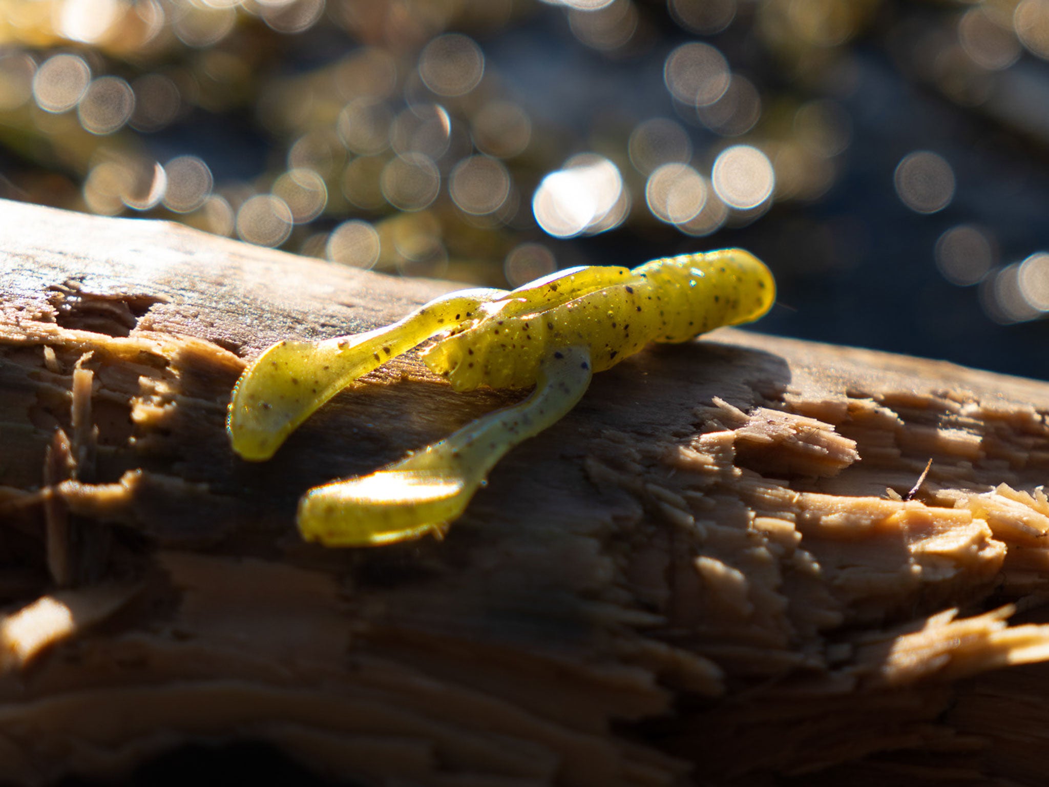 Greenfin LAOLA CRAW 7cm