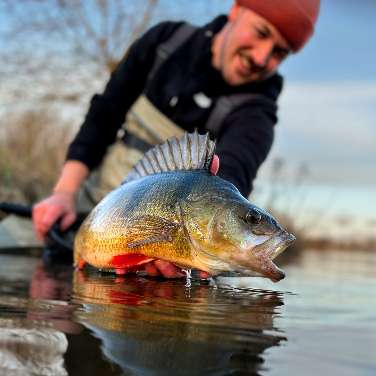 Greenfin Lake Bundle