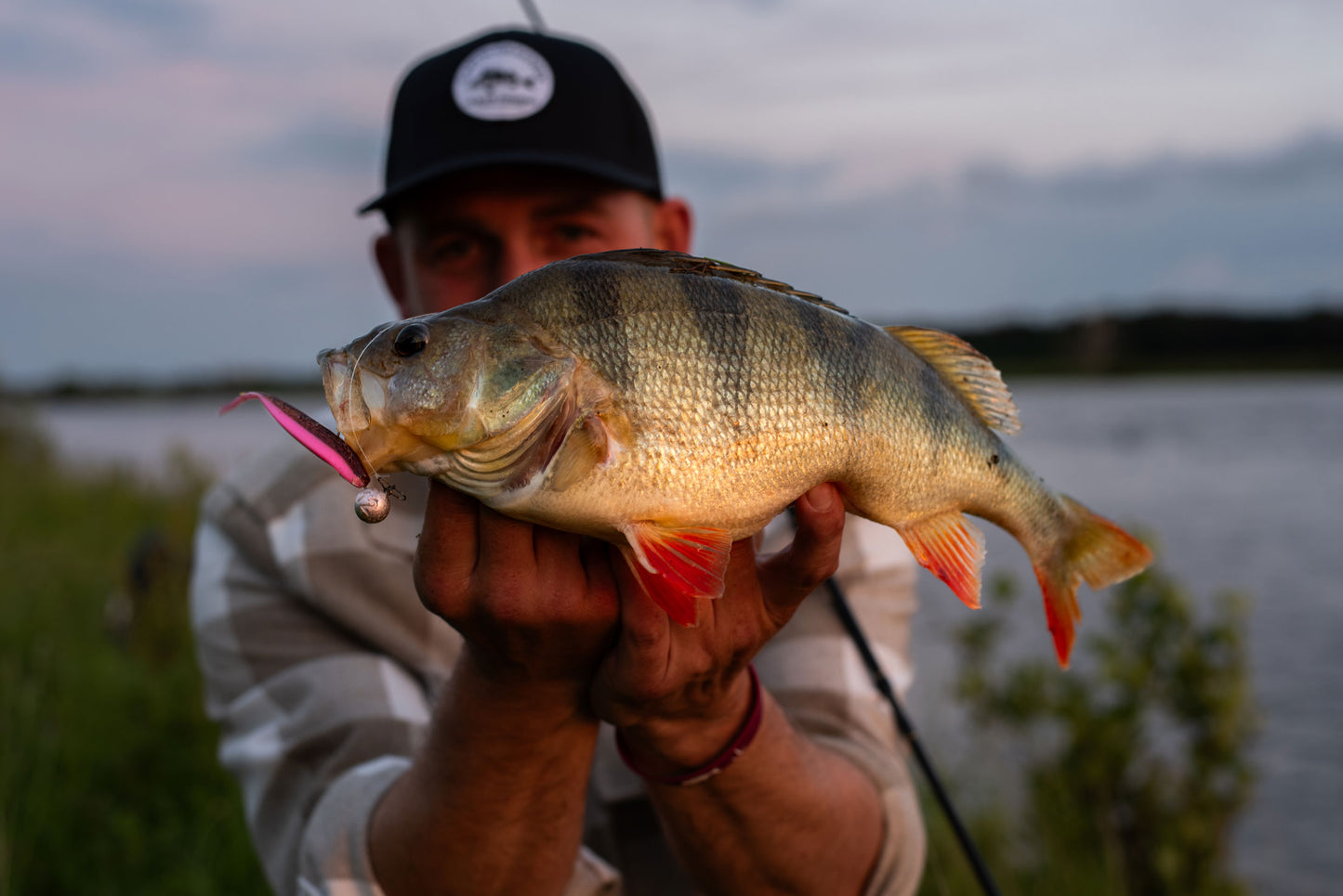 Greenfin 10cm Softbait