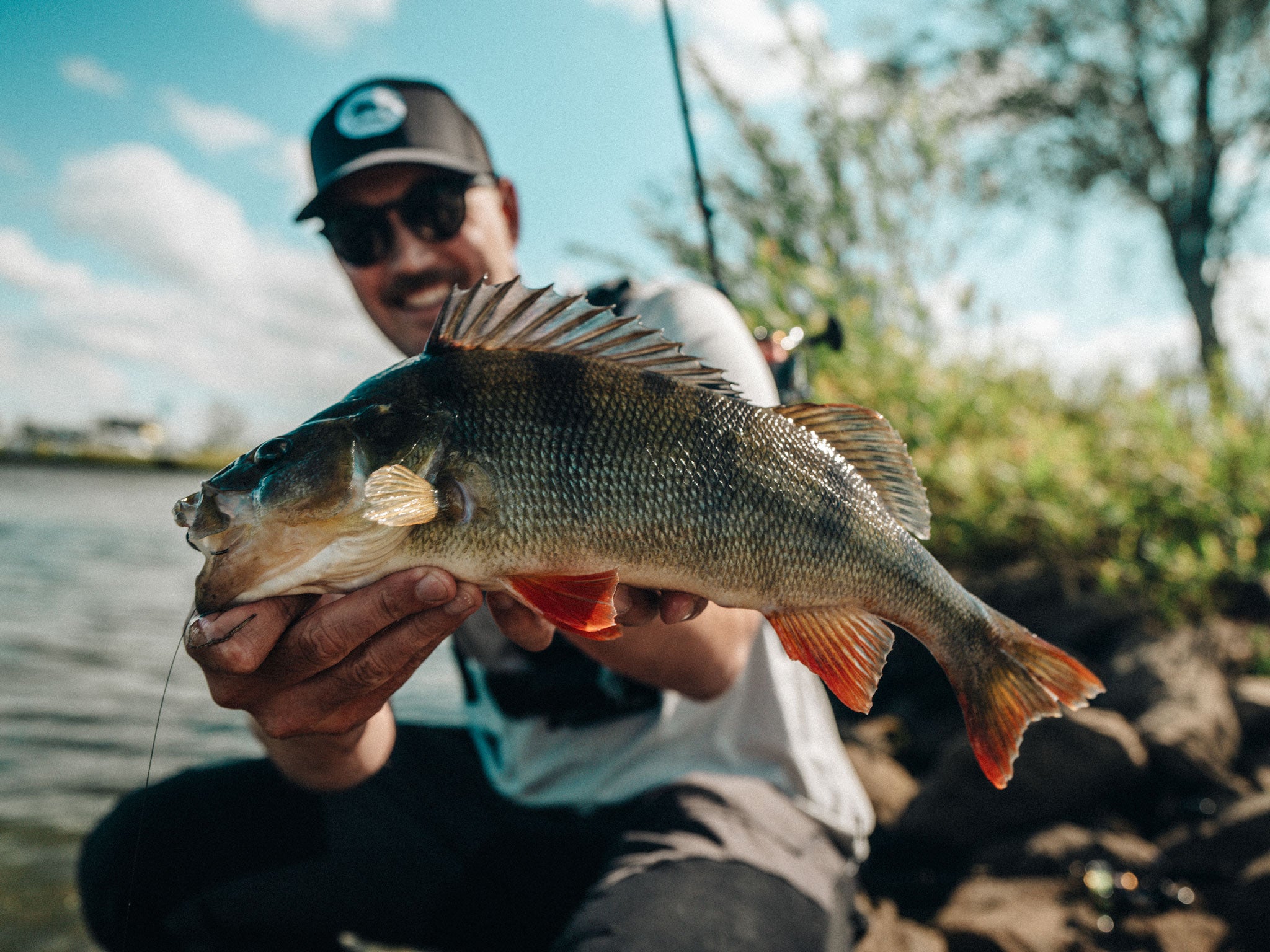 Greenfin 5cm Softbait