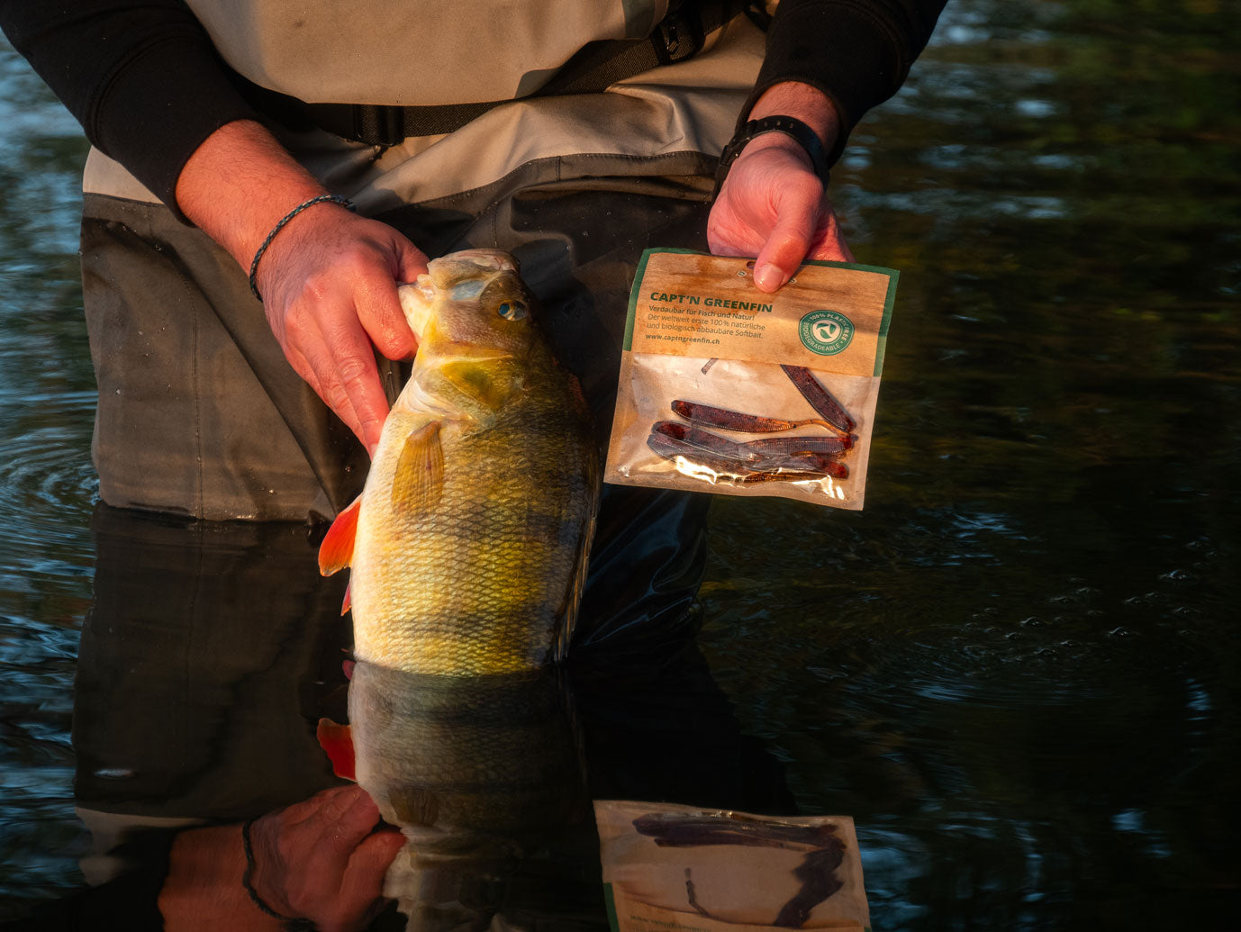Greenfin River Set