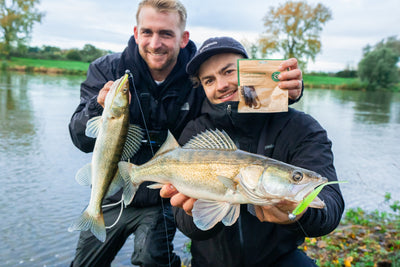 Zwei Angler mit Zandern und Capt'n Greenfin Protein Ködern