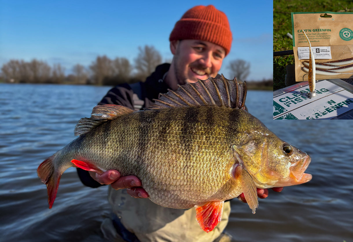 Greenfin Leadfree Elephant Jighead