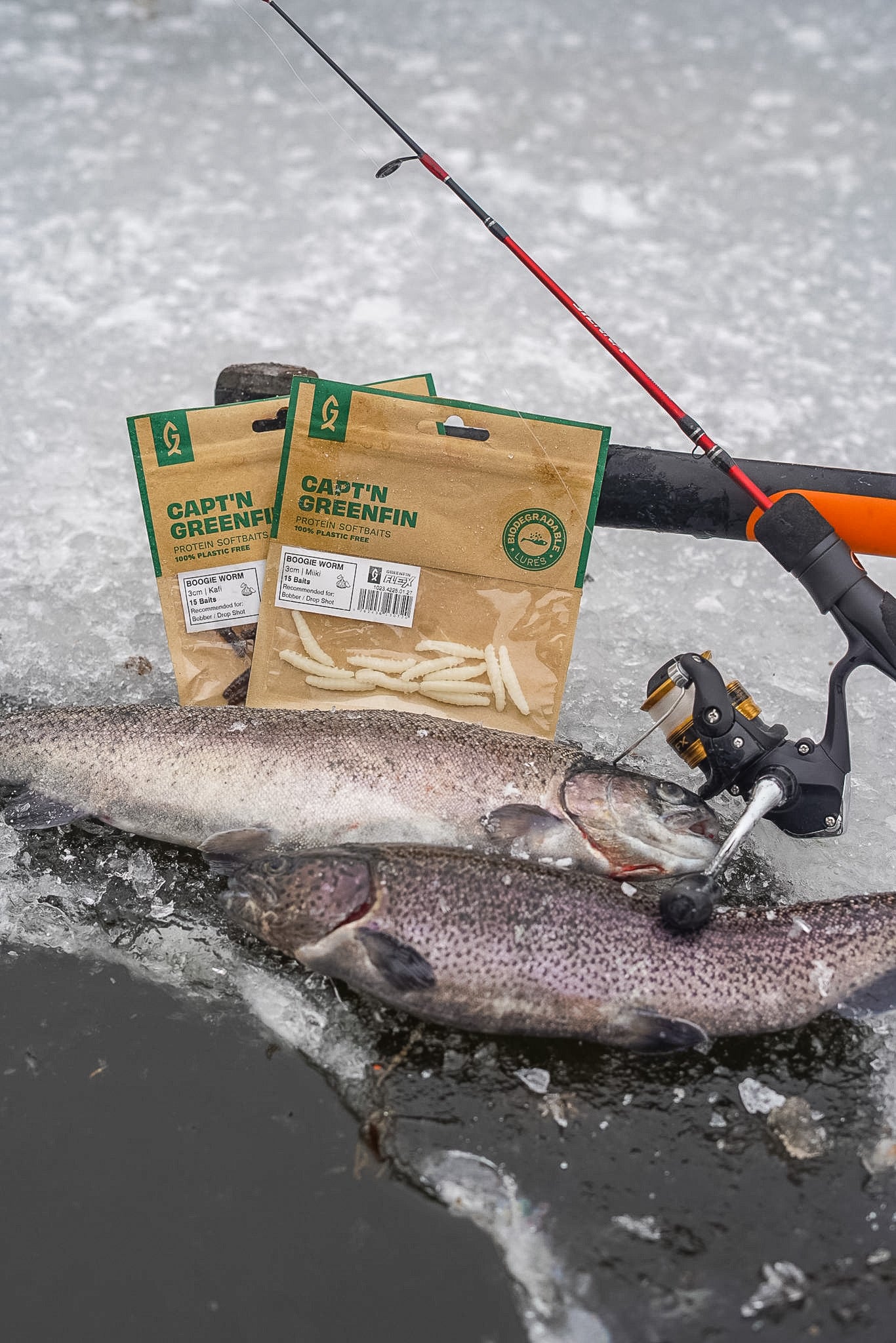 Ver de boogie à nageoires vertes