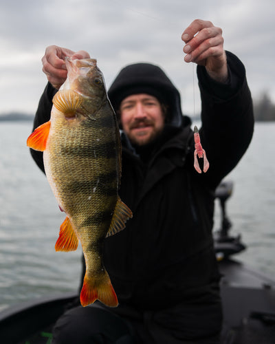 Greenfin LAOLA CRAW 7cm