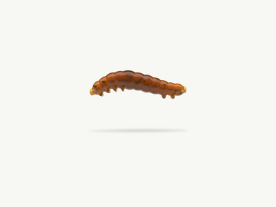 Greenfin BOOGIE WORM