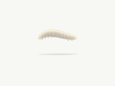 Greenfin BOOGIE WORM