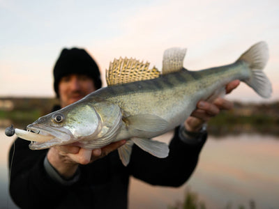 Greenfin SAMBA PADDLE 12cm