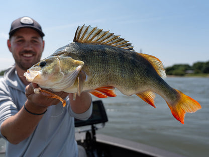 Greenfin SAMBA PADDLE 7cm